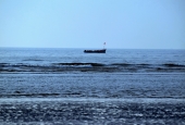 IIP Online Student Photography